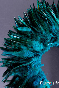 Frange coq chin roux - long. plumes 10-15 cm - jade